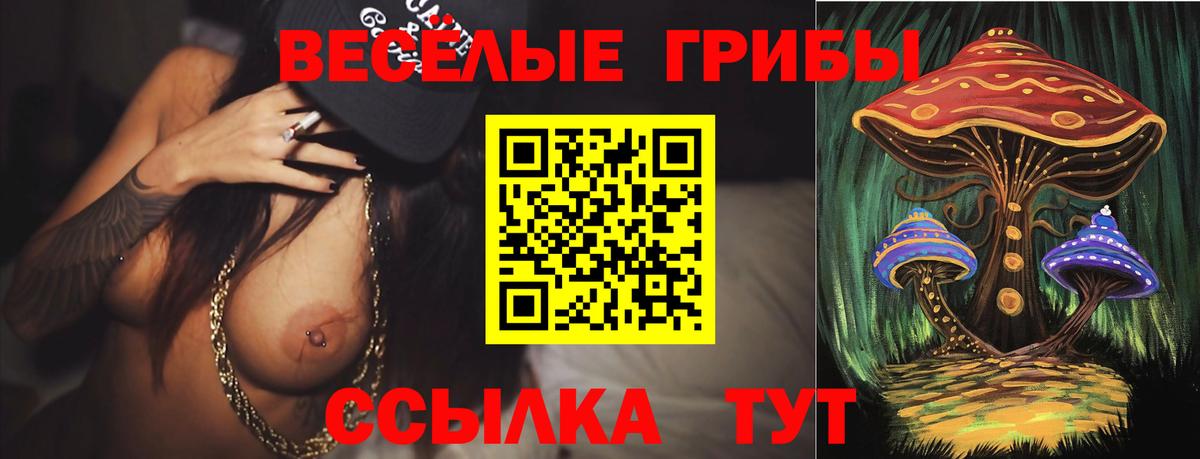 Павлово  Галлюциногенные грибы прущие грибы  Вход с VPN 